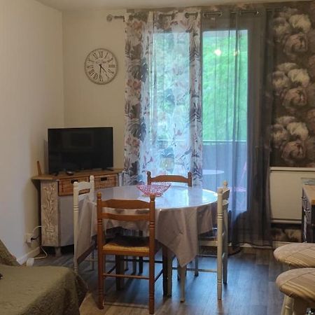 Appartement Avec Vue Sur La Montagne Bagnères-de-Luchon Εξωτερικό φωτογραφία